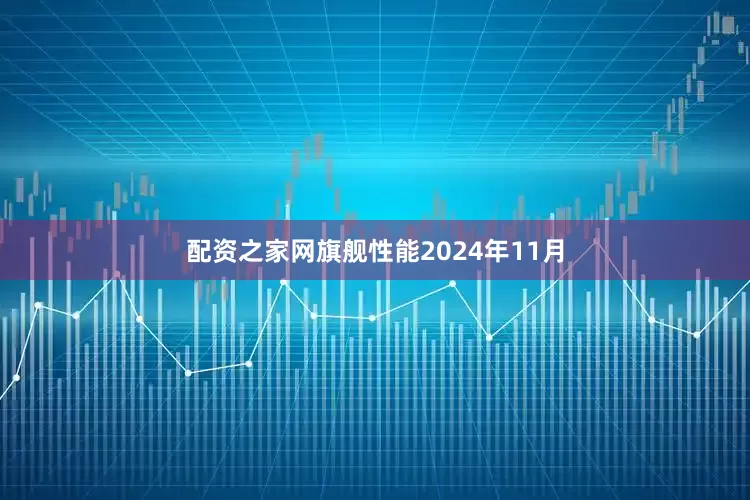 配资之家网旗舰性能2024年11月
