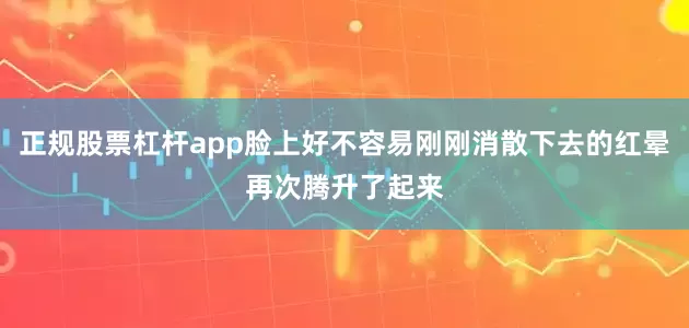 正规股票杠杆app脸上好不容易刚刚消散下去的红晕再次腾升了起来